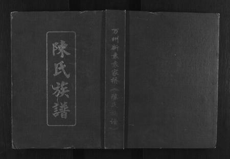 四川陈氏-陈氏族谱.pdf电子版缩略图