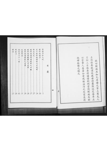 山东陈氏-八里庄陈氏族谱.pdf电子版预览图2