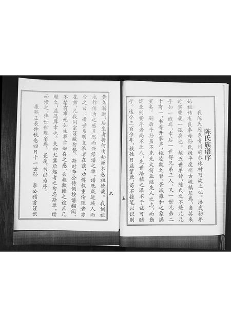 山东陈氏-八里庄陈氏族谱.pdf电子版预览图3