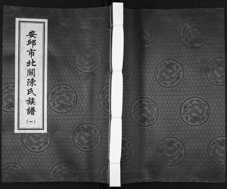 山东陈氏-安邱市北关陈氏族谱[9卷].pdf电子版缩略图