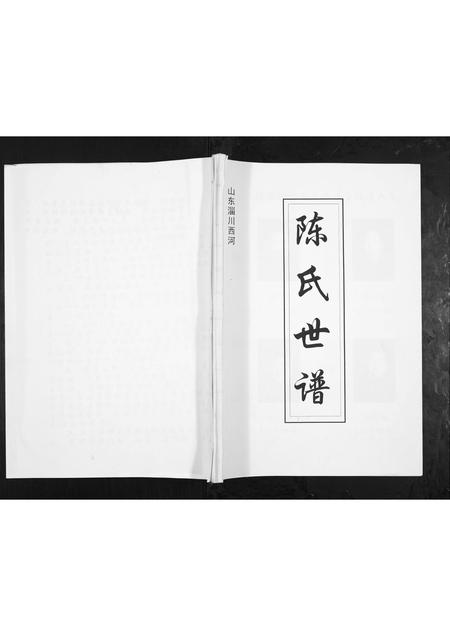 山东陈氏-陈氏世谱.pdf电子版缩略图