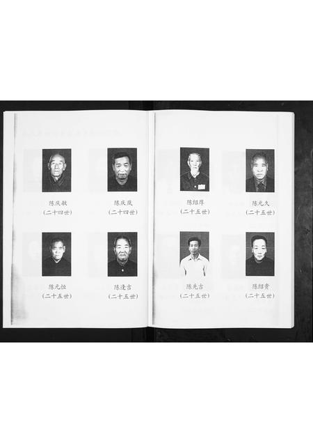 山东陈氏-陈氏世谱.pdf电子版预览图2