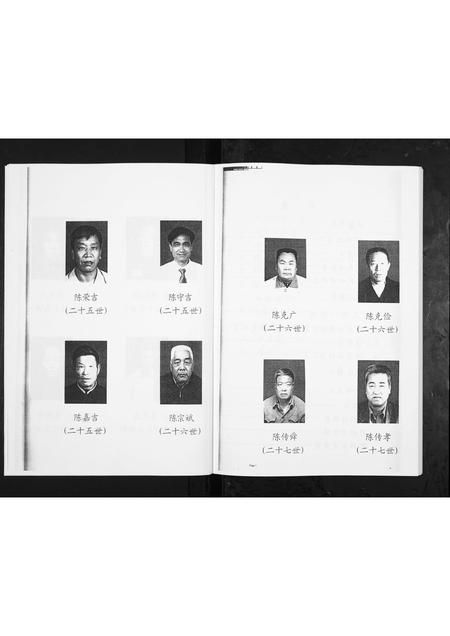 山东陈氏-陈氏世谱.pdf电子版预览图3