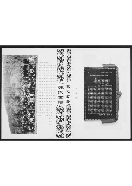 山东陈氏-陈氏世谱.pdf电子版预览图2