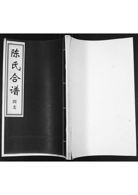 山东陈氏-陈氏合谱[4卷].pdf电子版缩略图