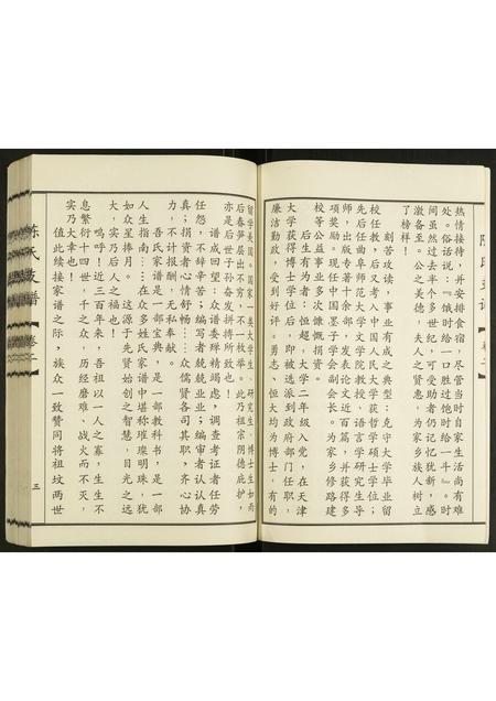 山东陈氏-陈氏支谱.pdf电子版预览图4