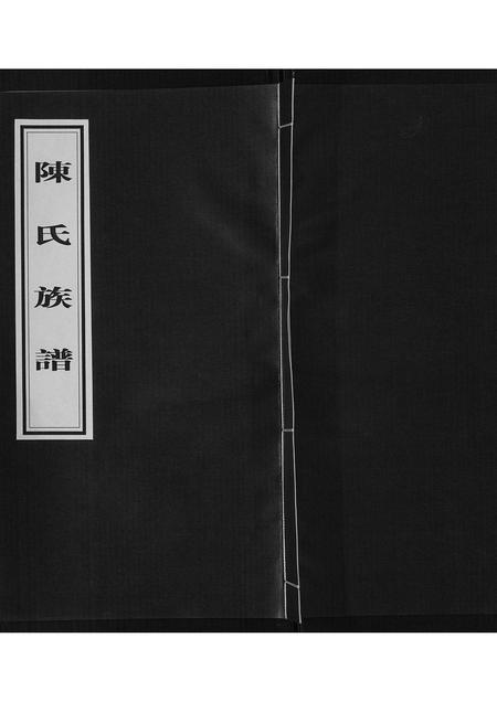 山东陈氏-陈氏族谱.pdf电子版缩略图
