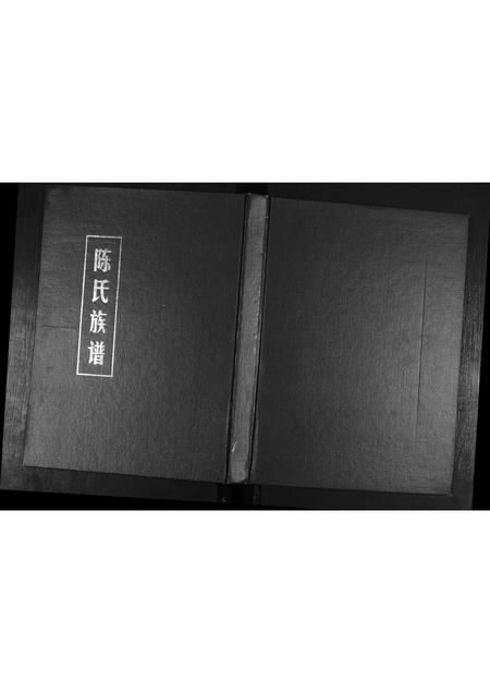 山东陈氏-陈氏族谱.pdf电子版缩略图