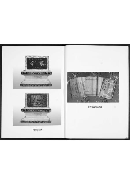 山东陈氏-陈氏族谱.pdf电子版预览图4