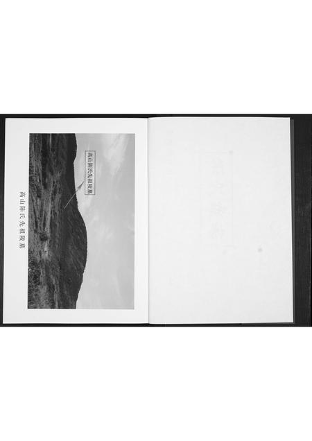 山东陈氏-陈氏族谱.pdf电子版预览图2