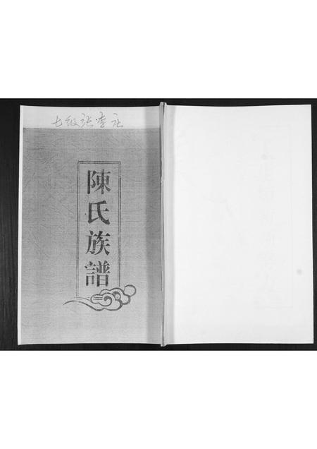 山东陈氏-陈氏族谱.pdf电子版缩略图