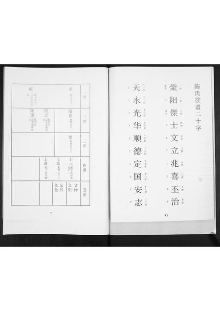 山东陈氏-陈氏族谱.pdf电子版预览图4