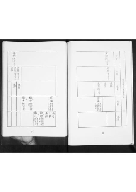 山东陈氏-陈氏族谱.pdf电子版预览图5