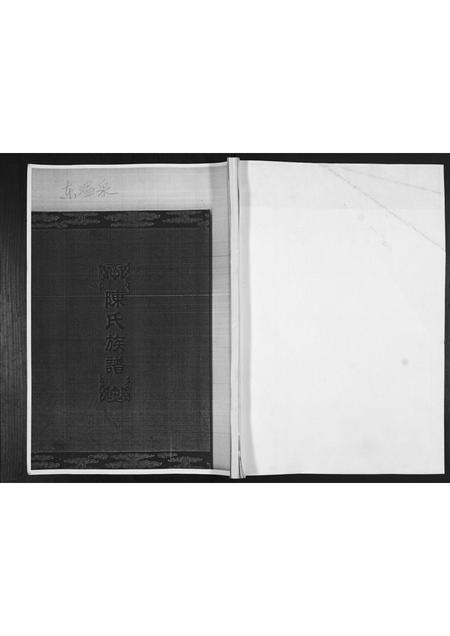 山东陈氏-陈氏族谱.pdf电子版缩略图