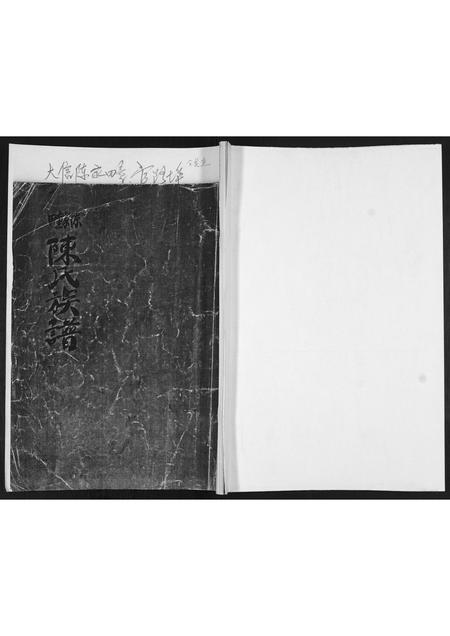 山东陈氏-陈氏族谱.pdf电子版缩略图