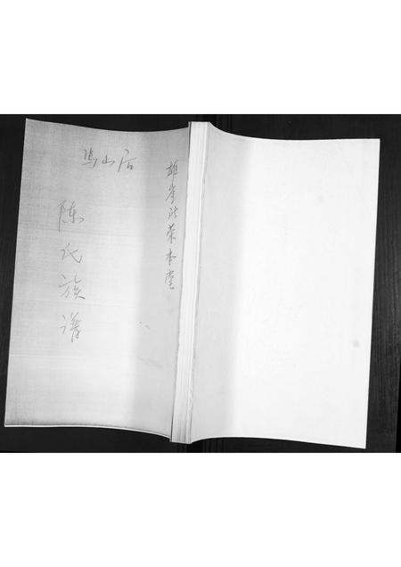 山东陈氏-陈氏族谱.pdf电子版缩略图