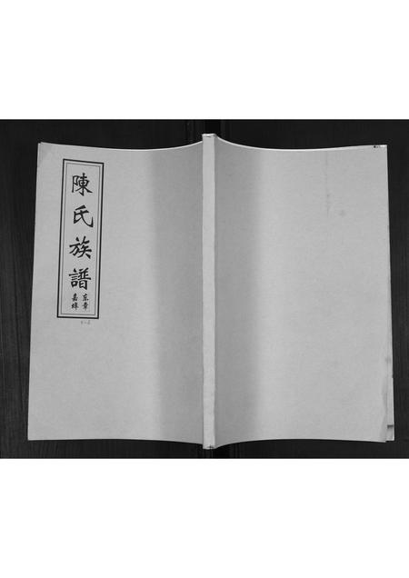 山东陈氏-陈氏族谱.pdf电子版缩略图