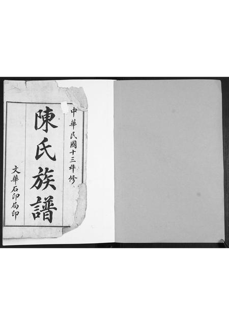 山东陈氏-陈氏族谱.pdf电子版预览图1