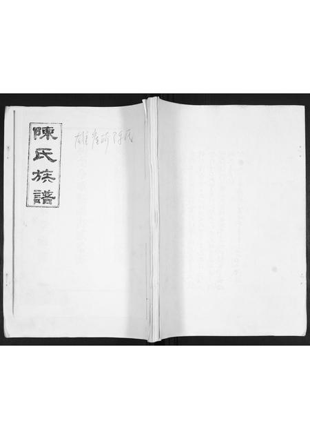 山东陈氏-陈氏族谱.pdf电子版缩略图