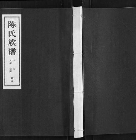 山东陈氏-陈氏族谱[5卷].pdf电子版缩略图