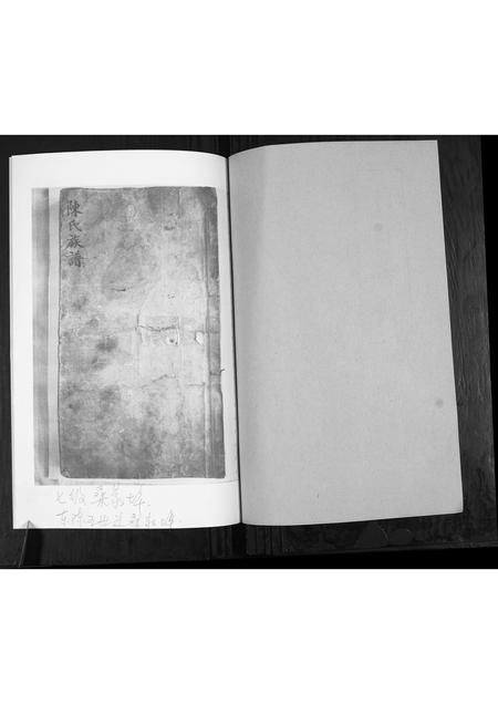 山东陈氏-陈氏族谱[不分卷].pdf电子版预览图1