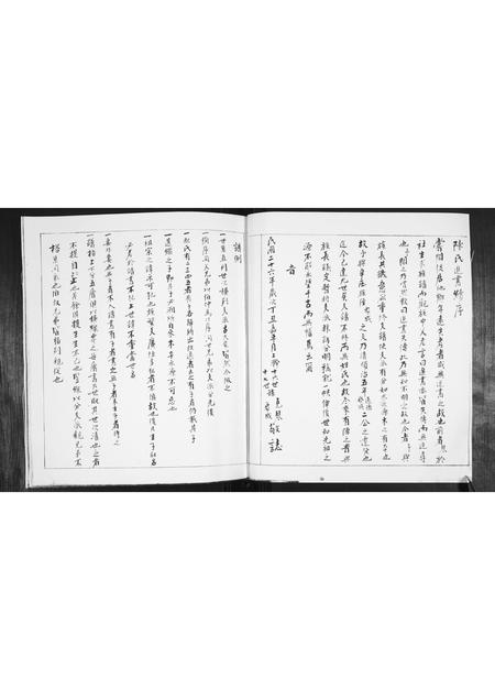 山东陈氏-陈氏追书.pdf电子版预览图4