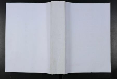 山东陈氏-淄川罗村陈氏宗谱 [不分卷].pdf电子版缩略图