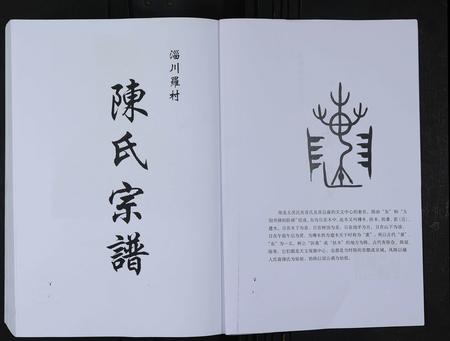 山东陈氏-淄川罗村陈氏宗谱 [不分卷].pdf电子版预览图2