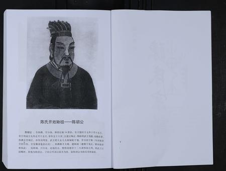 山东陈氏-淄川罗村陈氏宗谱 [不分卷].pdf电子版预览图3