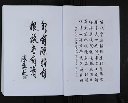 山东陈氏-淄川罗村陈氏宗谱 [不分卷].pdf电子版预览图5