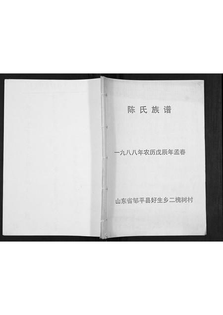 山东陈氏-陈氏族谱[不分卷].pdf电子版缩略图