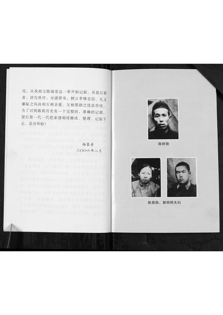 山西陈氏-陈氏家谱[不分卷].pdf电子版预览图3