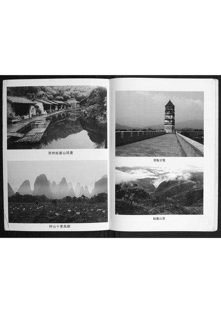 广西陈氏-贺州陈氏族群专辑.pdf电子版预览图1