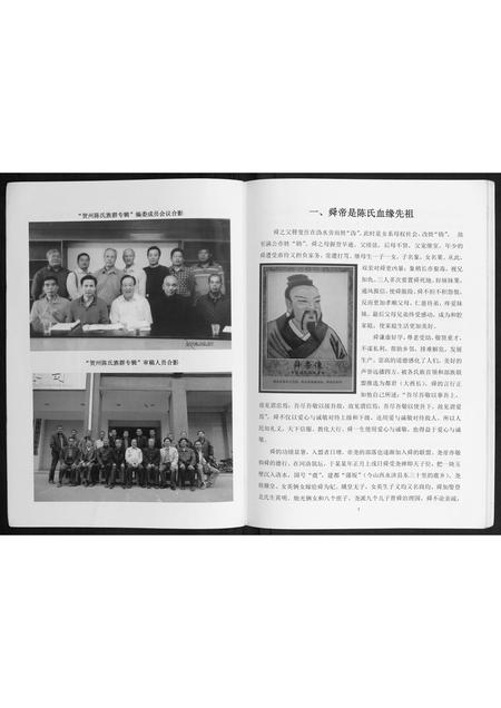 广西陈氏-贺州陈氏族群专辑.pdf电子版预览图4