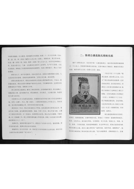 广西陈氏-贺州陈氏族群专辑.pdf电子版预览图5