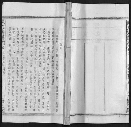 广西陈氏-陈氏宗谱.pdf电子版缩略图