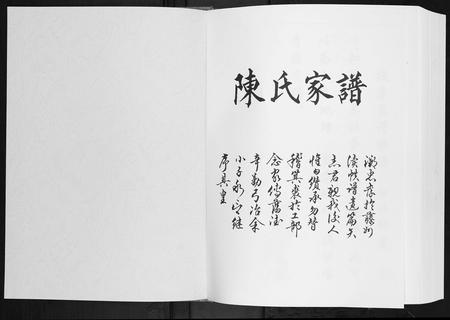 广西陈氏-陈氏家谱.pdf电子版预览图1