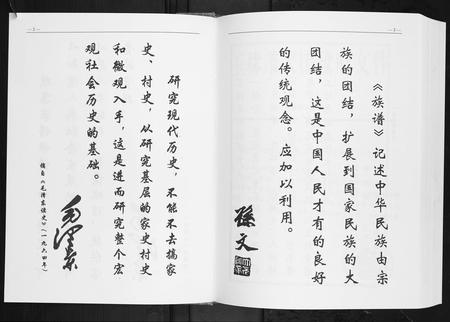 广西陈氏-陈氏家谱.pdf电子版预览图3