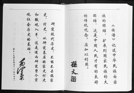 广西陈氏-陈氏家谱.pdf电子版预览图3