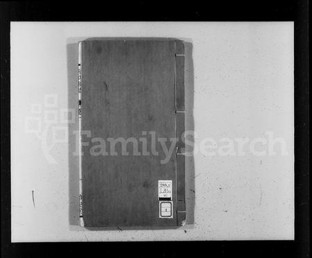 广西陈氏-陈氏族谱.pdf电子版缩略图