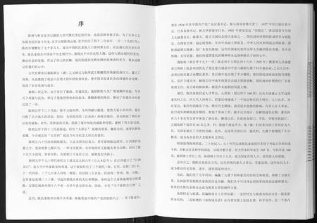 广西陈氏-陈氏族谱.pdf电子版预览图5