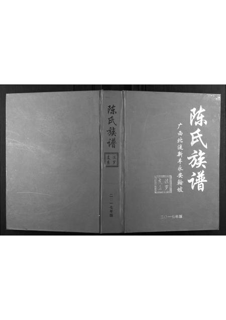 广西陈氏-陈氏族谱.pdf电子版缩略图