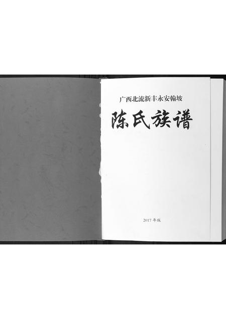 广西陈氏-陈氏族谱.pdf电子版预览图1