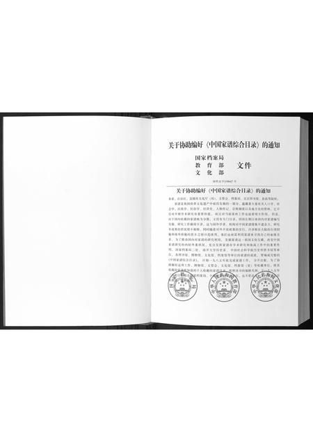 广西陈氏-陈氏族谱.pdf电子版预览图2