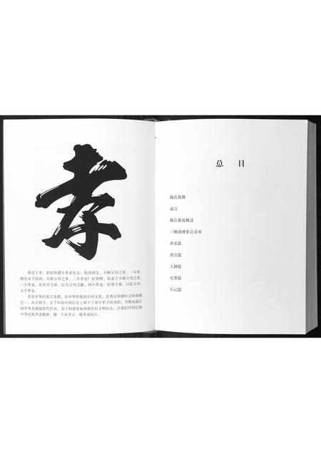 广西陈氏-陈氏族谱.pdf电子版预览图3