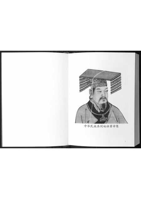 广西陈氏-陈氏族谱.pdf电子版预览图4