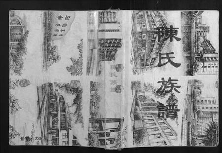 广西陈氏-陈氏族谱.pdf电子版缩略图