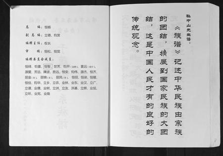 广西陈氏-陈氏族谱.pdf电子版预览图2