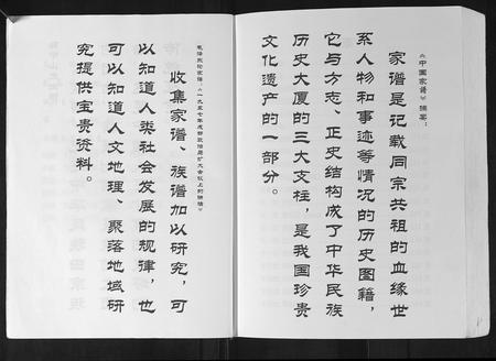 广西陈氏-陈氏族谱.pdf电子版预览图3