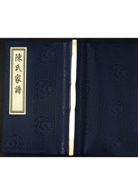 河北陈氏-陈氏家谱.pdf电子版缩略图